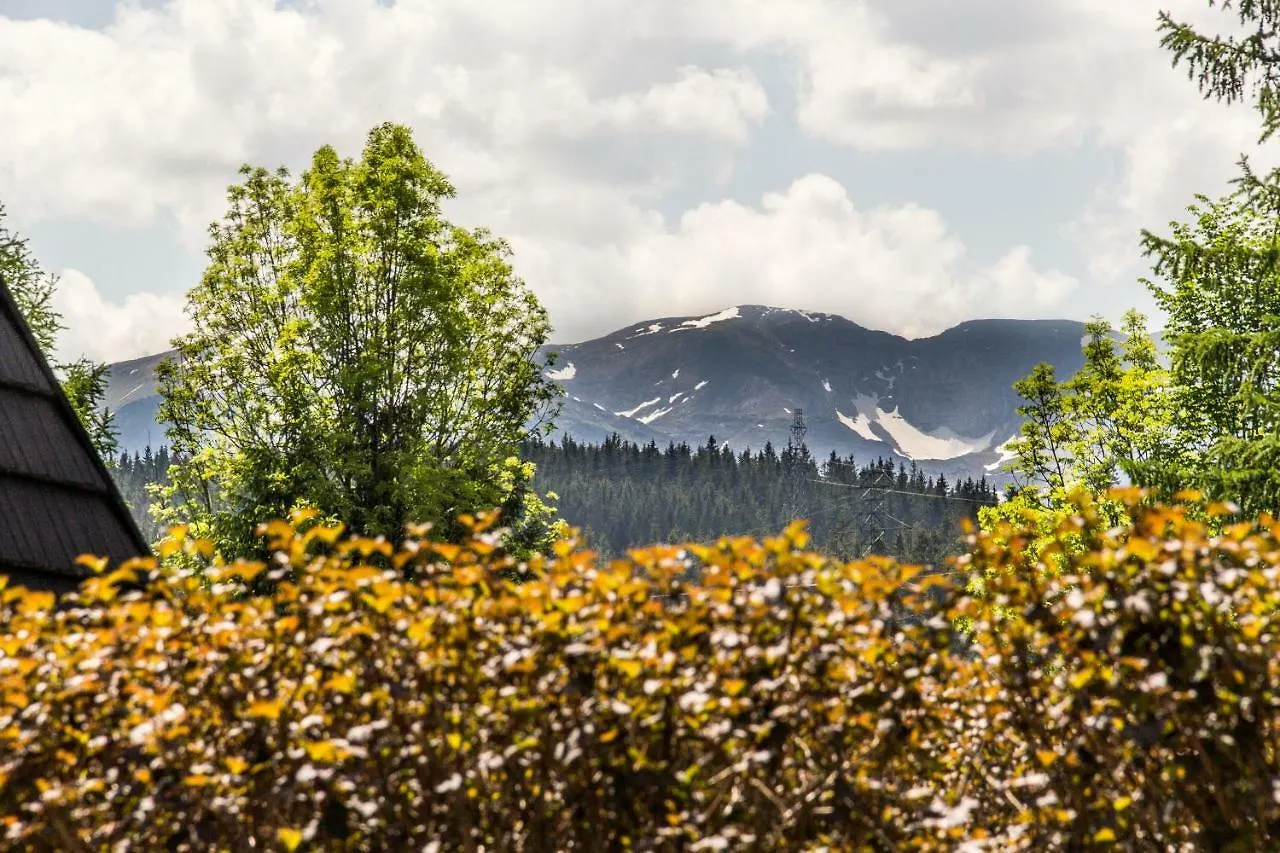 Apartamenty Osada Gubalowka Zakopane